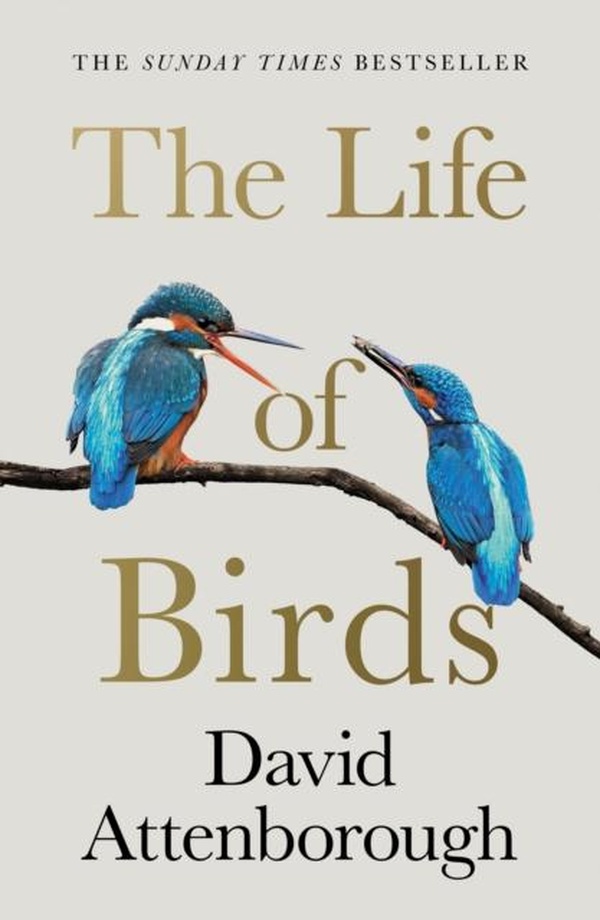 THE LIFE OF BIRDS