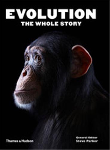 EVOLUTION: THE WHOLE STORY /ANGLAIS
