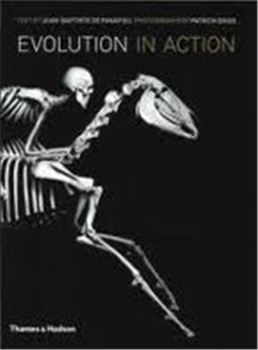 EVOLUTION IN ACTION 2ND ED. /ANGLAIS