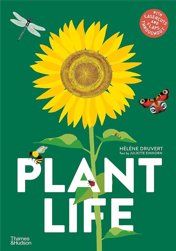 PLANT LIFE /ANGLAIS