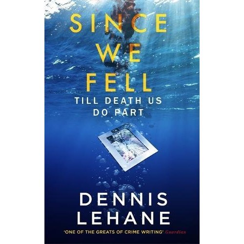 SINCE WE FELL*