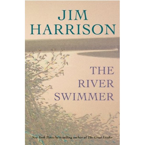 THE RIVER SWIMMER