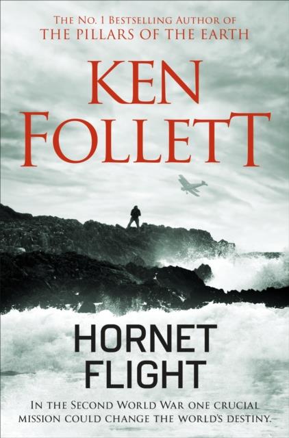 HORNET FLIGHT