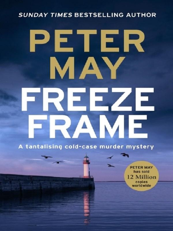 THE ENZO FILES - FREEZE FRAME - AN ENGROSSING INSTALMENT IN THE COLD-CASE ENZO SERIES (THE ENZO FILE