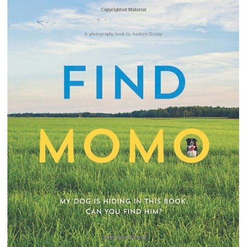 FIND MOMO /ANGLAIS