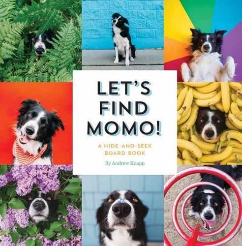 LET'S FIND MOMO ! /ANGLAIS