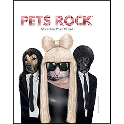PETS ROCK