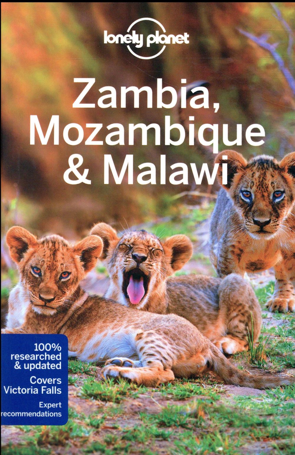 ZAMBIA, MOZAMBIQUE & MALAWI 3ED -ANGLAIS-