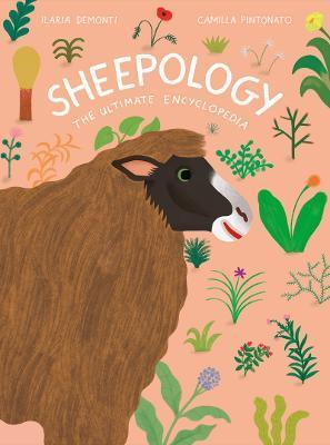 SHEEPOLOGY /ANGLAIS