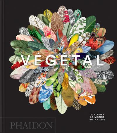 VEGETAL - EXPLORER LE MONDE BOTANIQUE - ILLUSTRATIONS, COULEUR