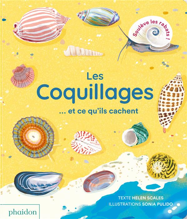 LES COQUILLAGES... ET CE QU'ILS CACHENT