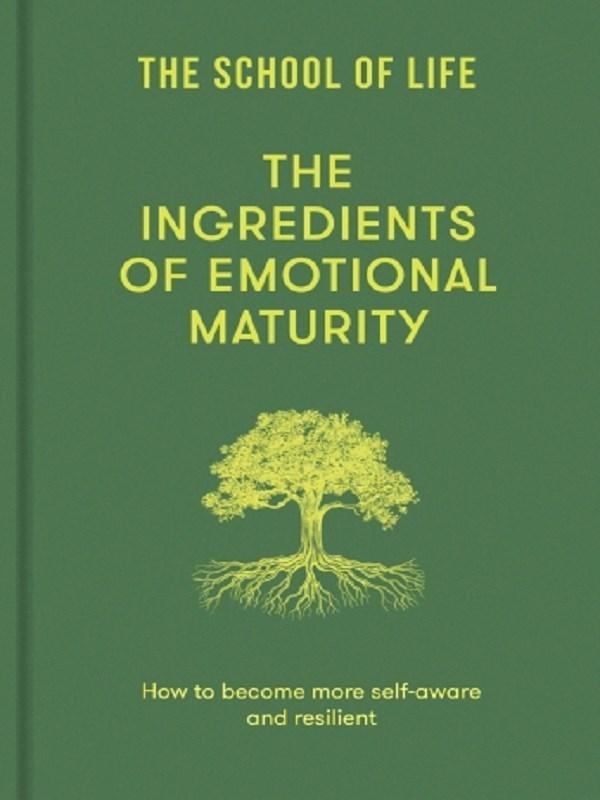 THE INGREDIENTS OF EMOTIONAL MATURITY - HOW TO BECOME MORE SELF-AWARE AND RESILIENT