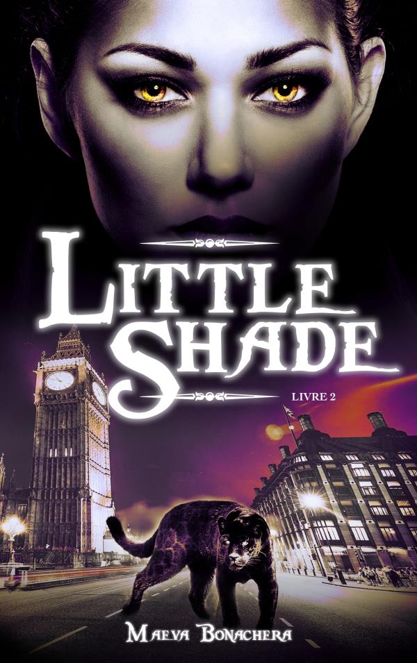 LITTLE SHADE - TOME 2 - A PAS DE VELOURS