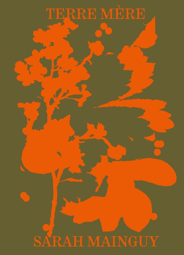 TERRE MERE