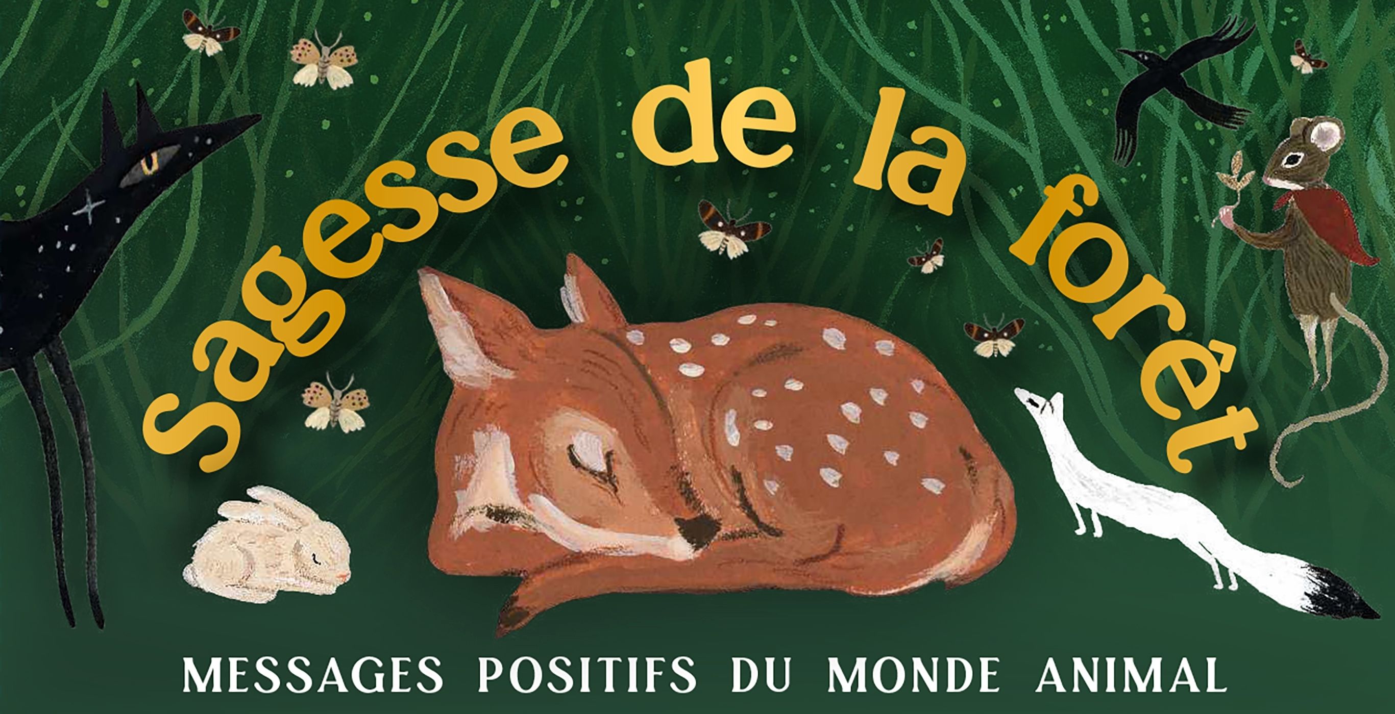 MON ORACLE DE POCHE : SAGESSE DE LA FORET - MESSAGES POSITIFS DU MONDE ANIMAL