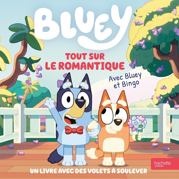 BLUEY - TOUT SUR LE ROMANTIQUE - LIVRE ANIME