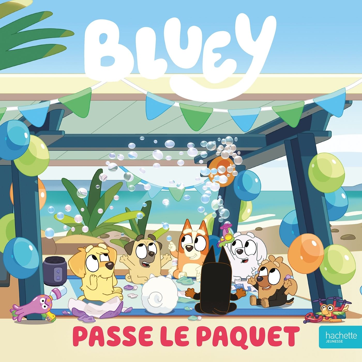 BLUEY - PASSE LE PAQUET