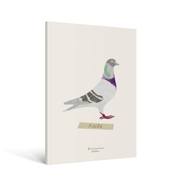 CARNET OISEAU A5 - ZOE DE LAS CASES