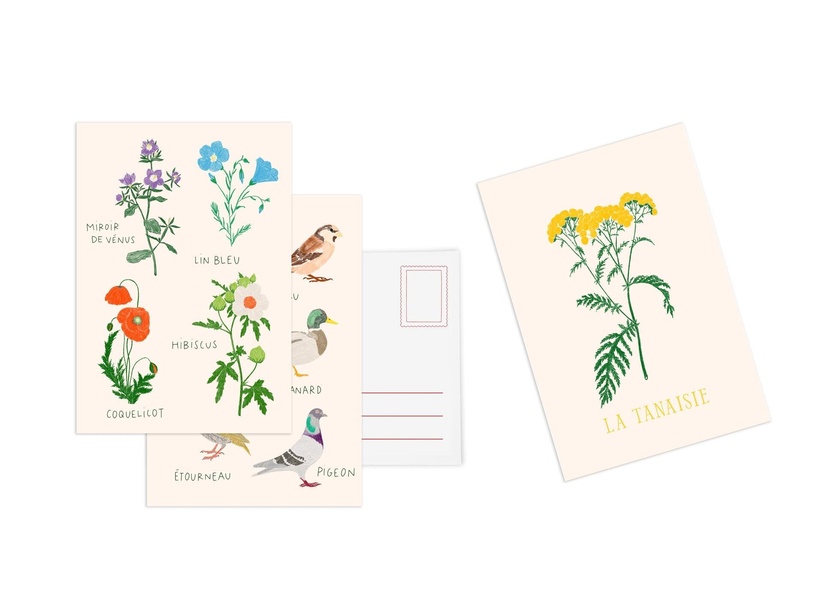 SET DE 10 CARTES POSTALES FLEURS
