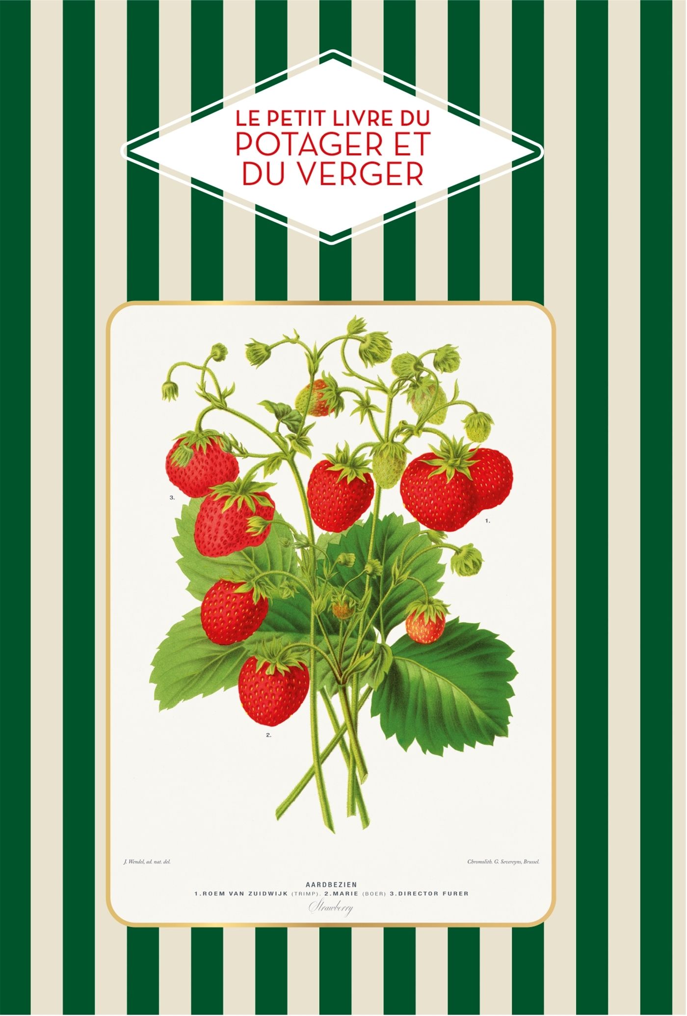 PETIT LIVRE DU POTAGER ET DU VERGER