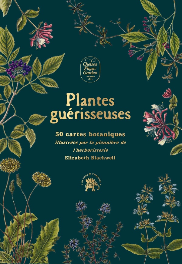PLANTES GUERISSEUSES - 50 CARTES BOTANIQUES ILLUSTREES PAR LA PIONNIERE DE L'HERBORISTERIE ELIZABETH