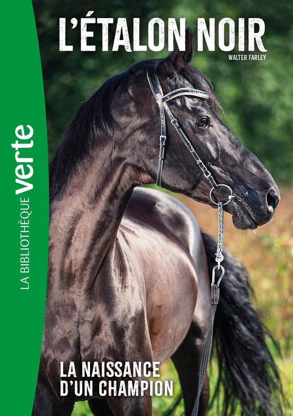 L'ETALON NOIR (NOUVELLE EDITION), TOME 19 - LA NAISSANCE D'UN CHAMPION