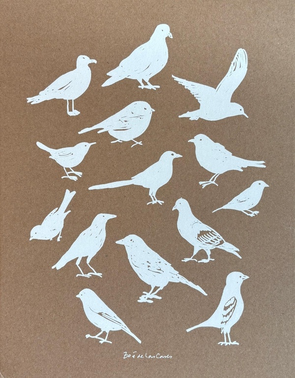 CARNET A4 OISEAUX - ZOE DE LAS CASES