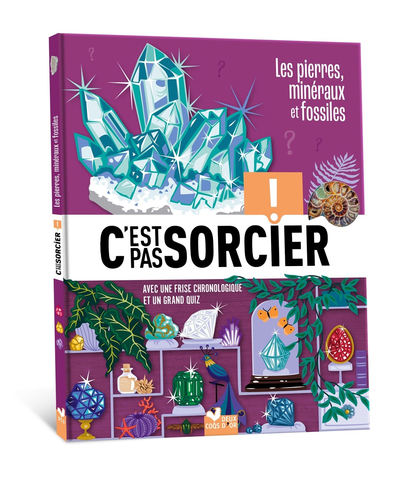 C'EST PAS SORCIER -PIERRES MINERAUX ET FOSSILES