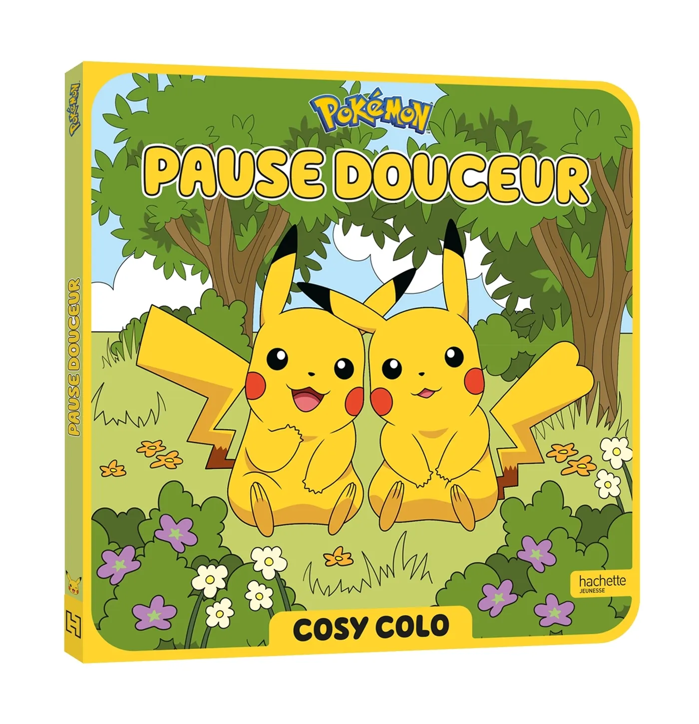 POKEMON - PAUSE DOUCEUR - COSY COLO