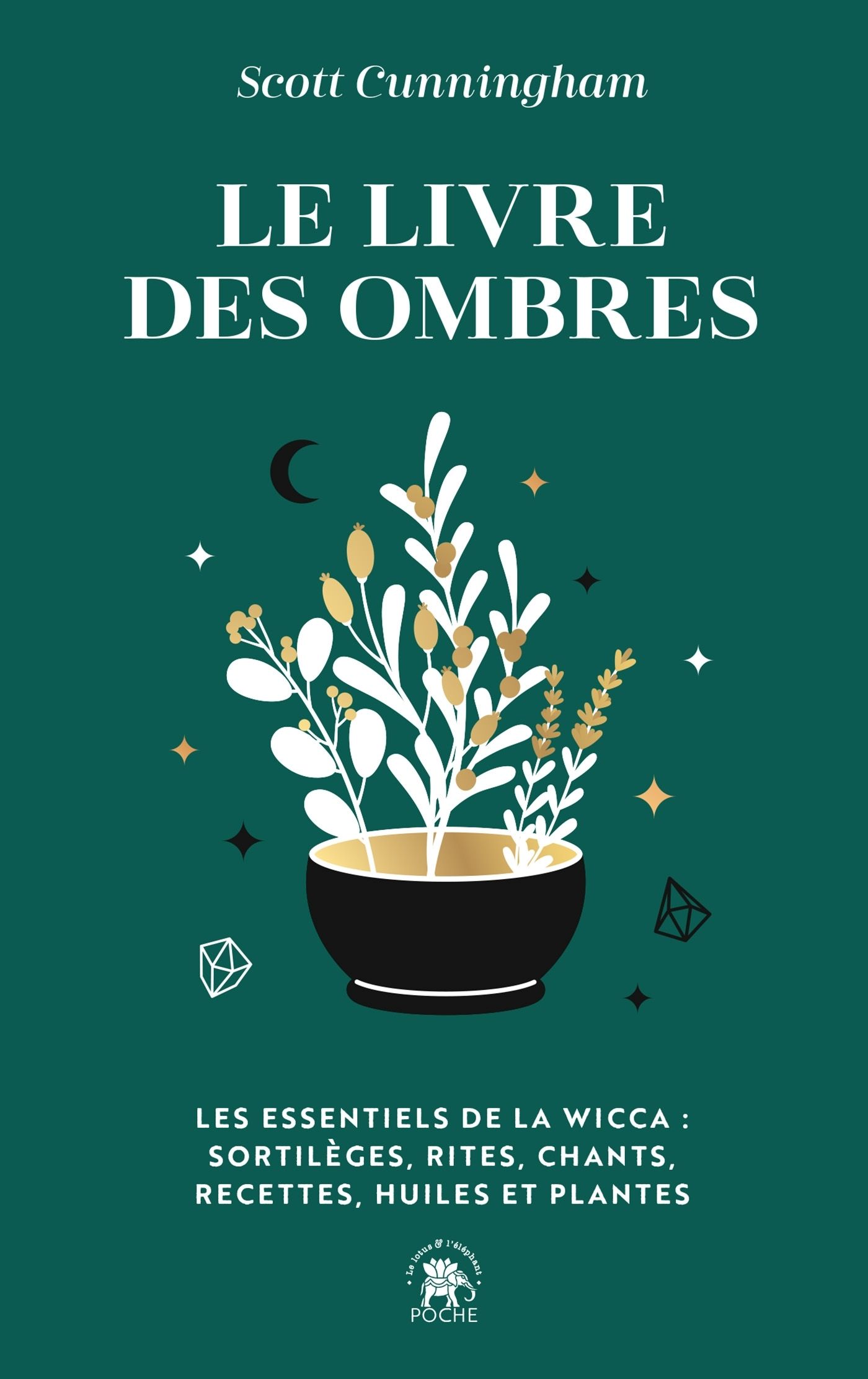 LE LIVRE DES OMBRES - LES ESSENTIELS DE LA WICCA : SORTILEGES, RITES, CHANTS, RECETTES, HUILES ET PL
