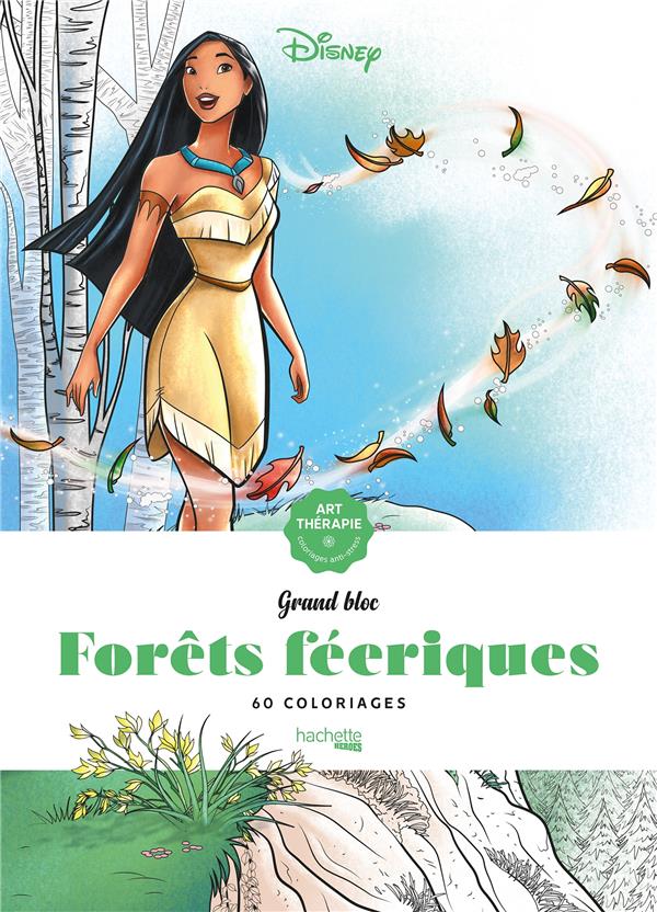 LES GRANDS BLOCS DISNEY FORETS FEERIQUES