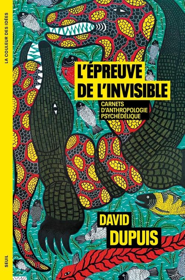 L'EPREUVE DE L'INVISIBLE - CARNETS D'ANTHROPOLOGIE PSYCHEDELIQUE