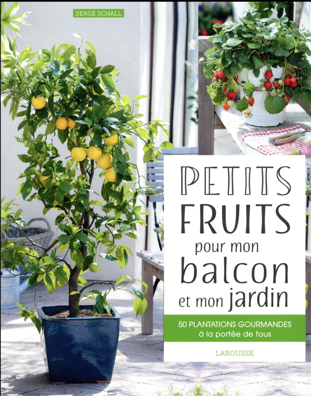 PETITS FRUITS POUR MON BALCON ET MON JARDIN - 50 PLANTATIONS GOURMANDES A LA PORTEE DE TOUS