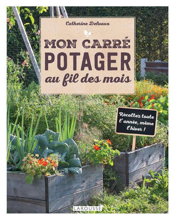 MON CARRE POTAGER AU FIL DES MOIS