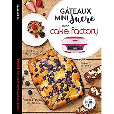 GATEAUX MINI SUCRE AVEC CAKE FACTORY