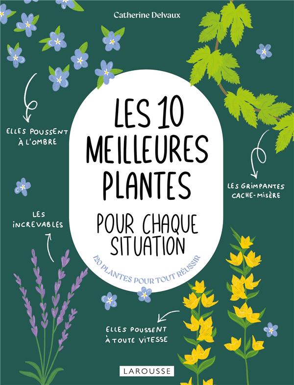 LES 10 MEILLEURES PLANTES POUR CHAQUE SITUATION