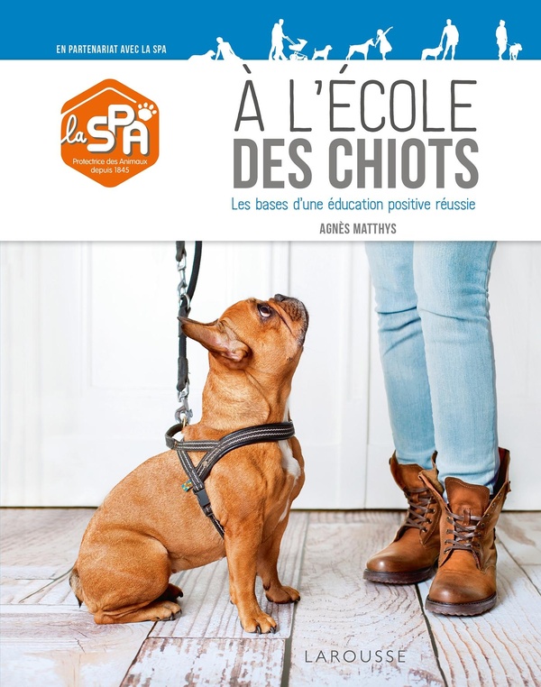 A L'ECOLE DES CHIOTS - LES BASES D'UNE EDUCATION POSITIVE REUSSIE