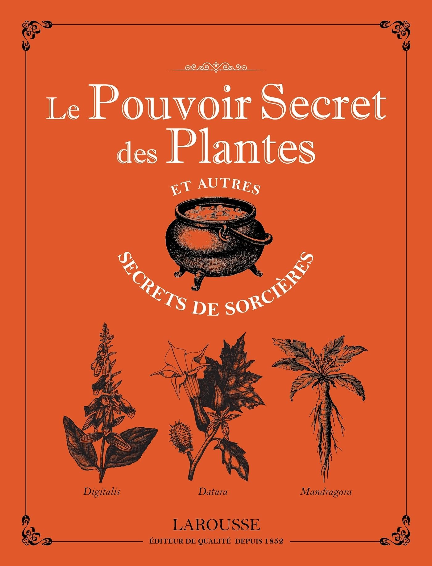 LE POUVOIR SECRET DES PLANTES ET AUTRES SECRETS DE SORCIERES-NP