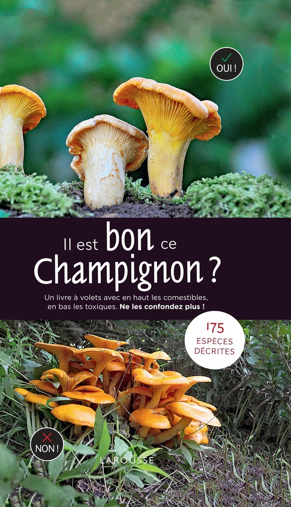 IL EST BON CE CHAMPIGNON ?