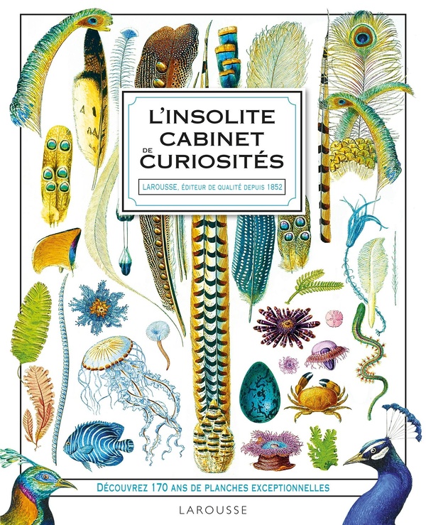 L'INSOLITE CABINET DE CURIOSITES LAROUSSE
