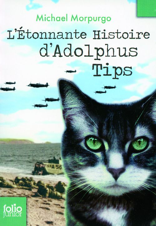 L'ETONNANTE HISTOIRE D'ADOLPHUS TIPS