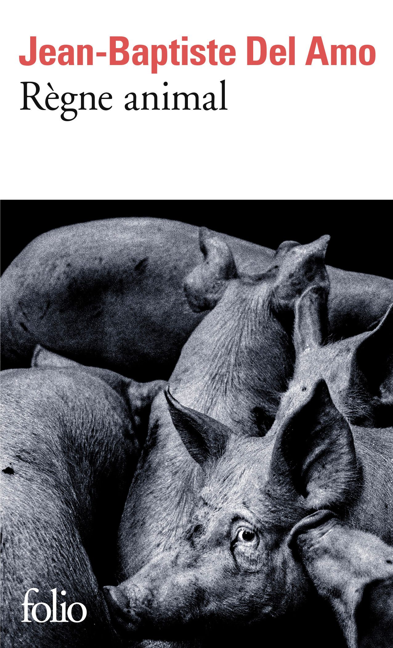 REGNE ANIMAL
