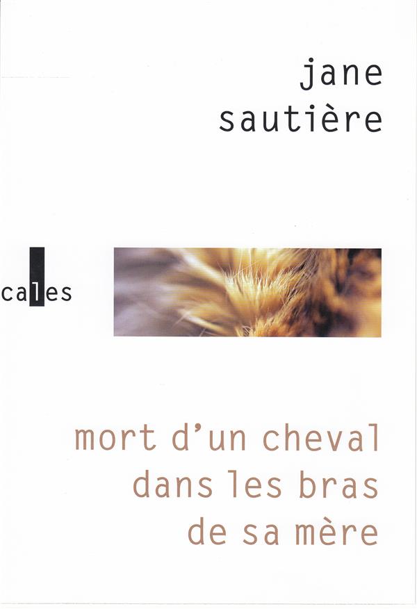 MORT D'UN CHEVAL DANS LES BRAS DE SA MERE