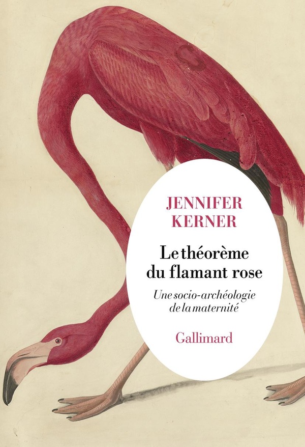 LE THEOREME DU FLAMANT ROSE - UNE SOCIO-ARCHEOLOGIE DE LA MATERNITE
