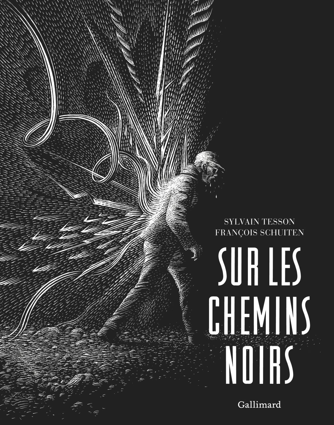 couverture du livre SUR LES CHEMINS NOIRS - EDITION ILLUSTREE