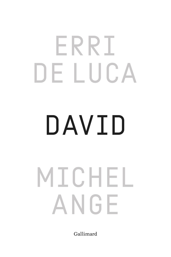 DAVID, MICHEL-ANGE - ENQUETE SUR UNE DISPROPORTION