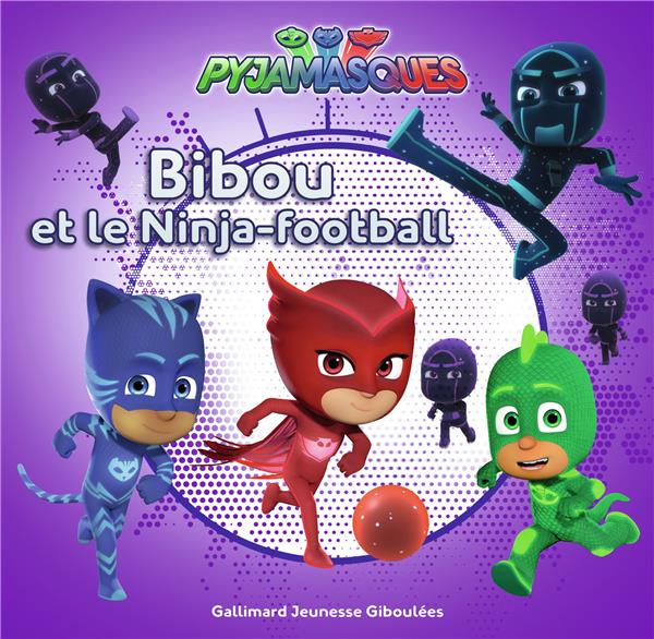 SERIES TV - T15 - BIBOU ET LE NINJA-FOOTBALL
