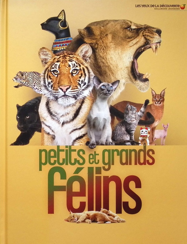 PETITS ET GRANDS FELINS