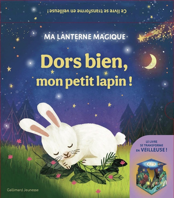 MA LANTERNE MAGIQUE - DORS BIEN, MON PETIT LAPIN ! - UN LIVRE-VEILLEUSE (RECHARGEABLE)