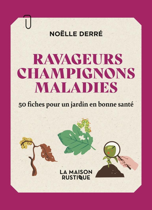 RAVAGEURS, CHAMPIGNONS, MALADIES - 50 FICHES POUR UN JARDIN EN BONNE SANTE-MA BOITE A FICHES